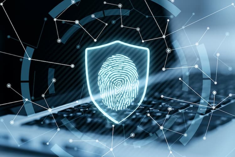 Harvest Now, Decrypt Later: The Data Breach That's Already Happening